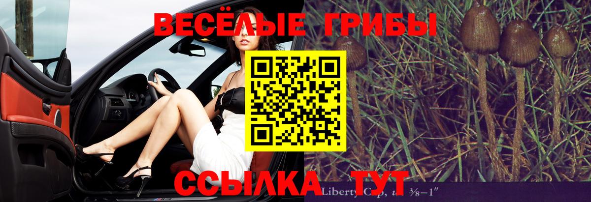 Галлюциногенные грибы GOLDEN TEACHER Нижний Тагил