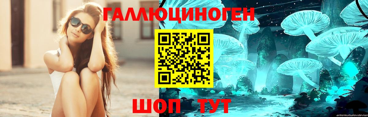 Галлюциногенные грибы GOLDEN TEACHER  Галлюциногенные грибы Magic Shrooms  Нижний Тагил  Вход с VPN 